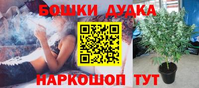 ГАЛЛЮЦИНОГЕННЫЕ ГРИБЫ Северобайкальск